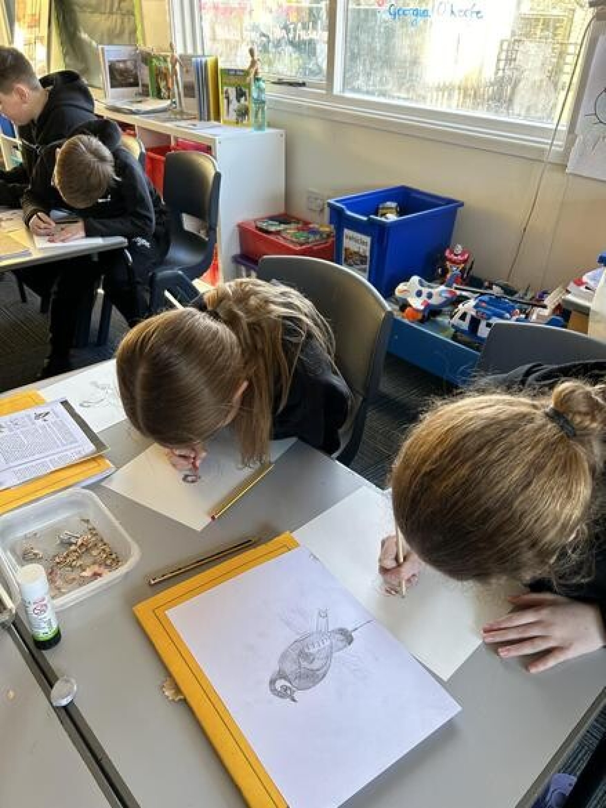 022c6043 1260 437d b8ba c25ca02c4fa8 1x1