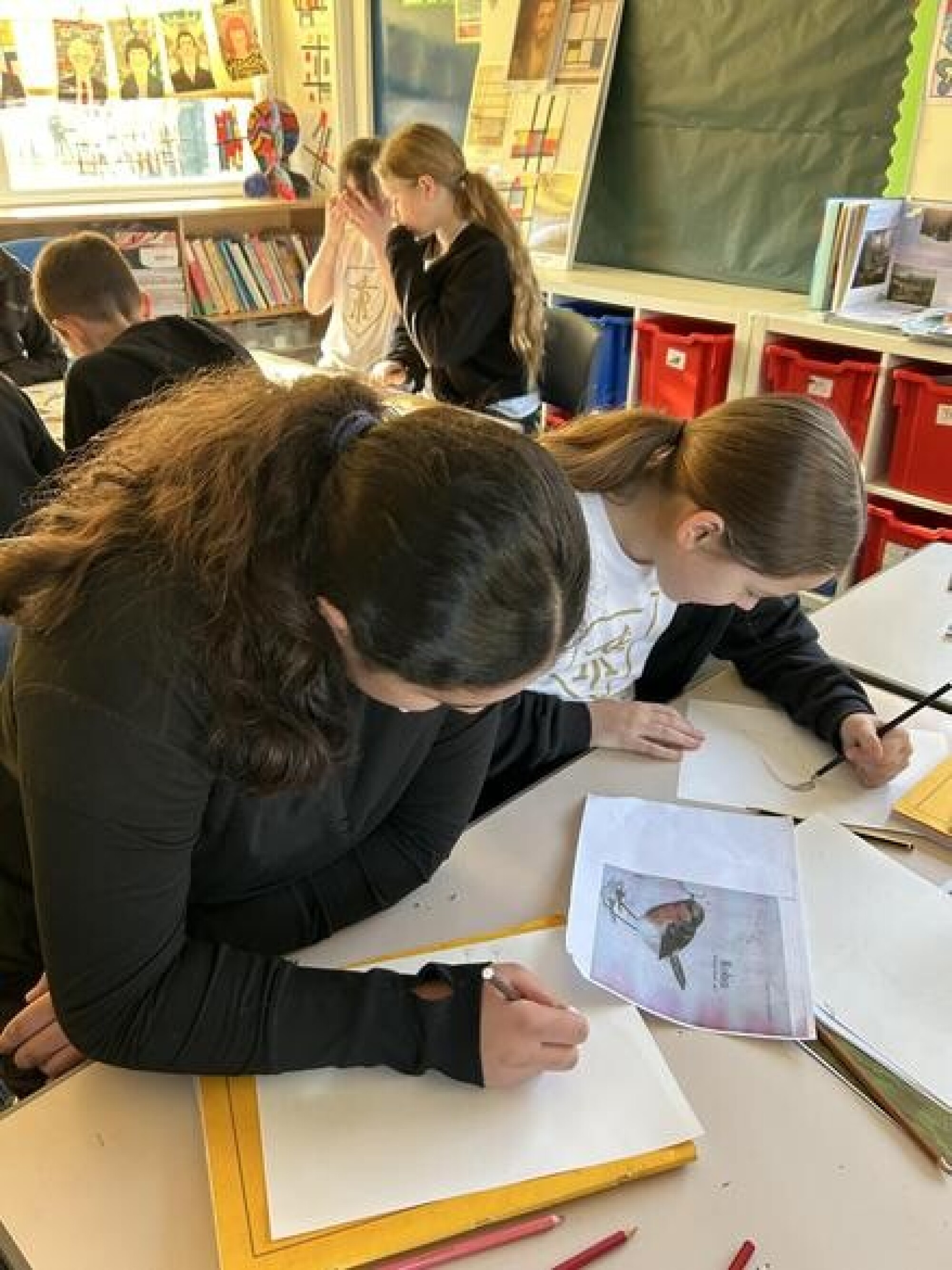 4fb43aaa 1055 4eab 906e 8d65dabb96df 1x1