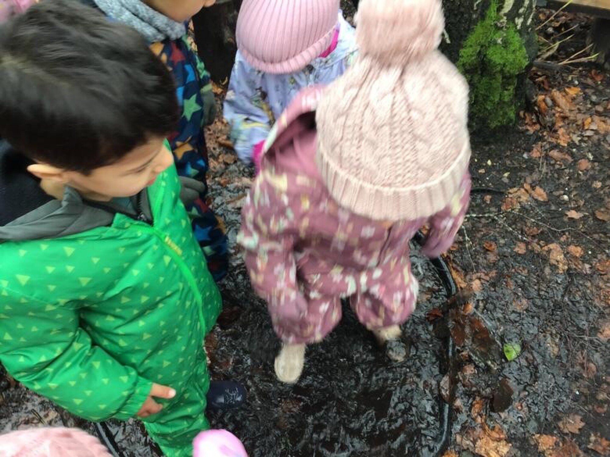 7461355b d259 4c23 ad40 3183a7821d02 1x1