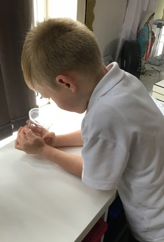 Facebook Image