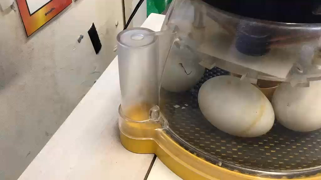 Facebook Image