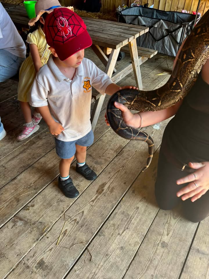 Facebook Image